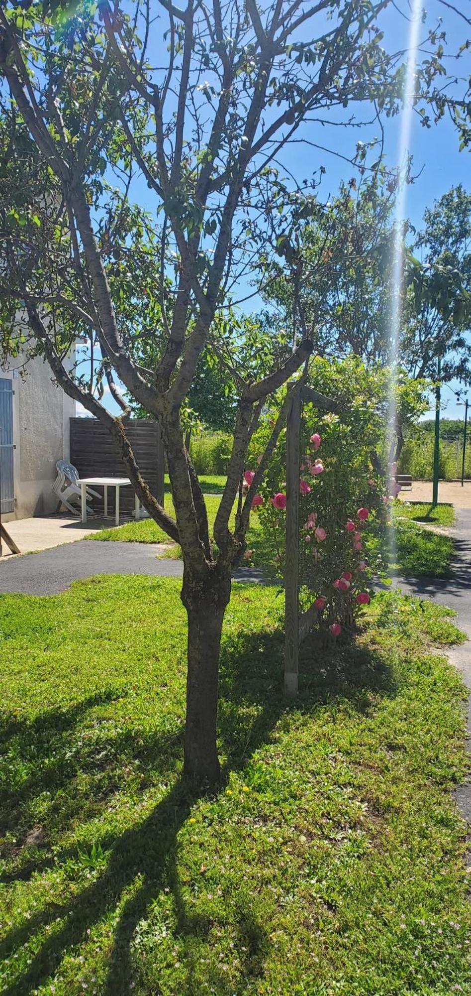 Le Canal Climatisation Wi-Fi Parking Jardin Piscine 15 Mn De Beziers โกลอมบิเย่ส์ ภายนอก รูปภาพ